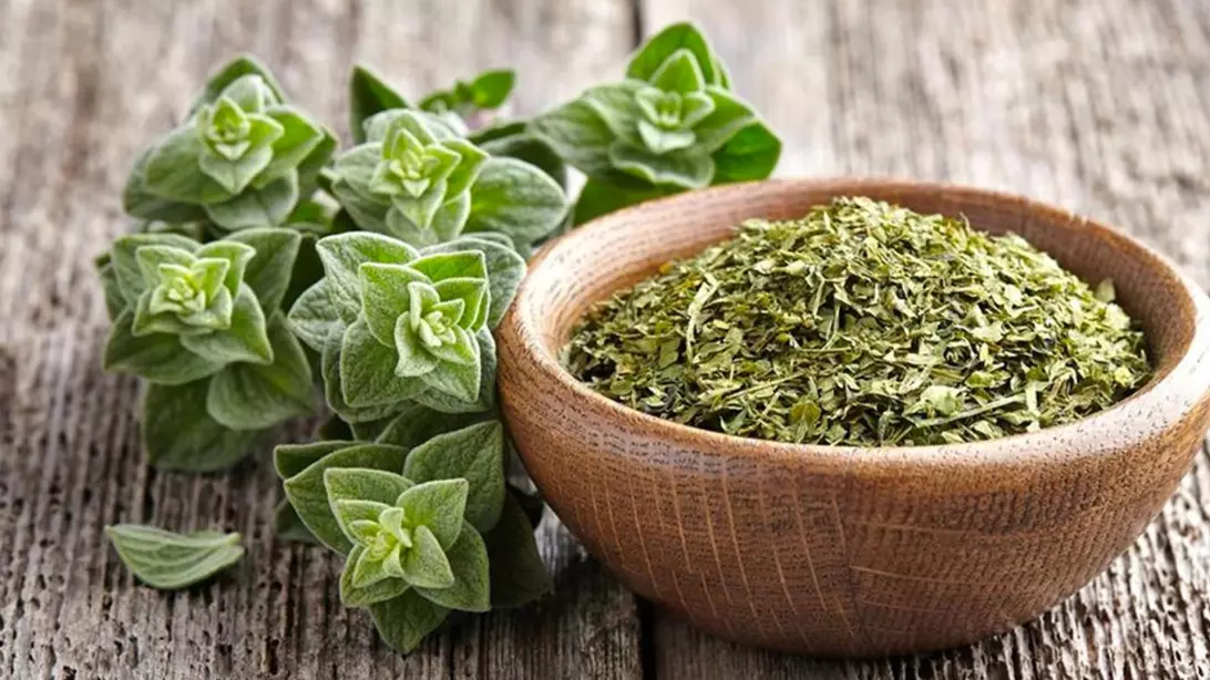 Descubre los Beneficios del Aceite de Orégano para tu Salud, mostrando un frasco de aceite de orégano junto a ramas frescas de orégano, destacando sus propiedades antimicrobianas y beneficios para la salud.