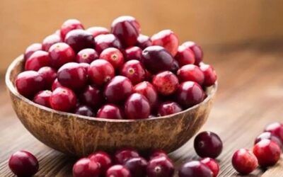 Descubre los Beneficios del Arándano Rojo para la Salud