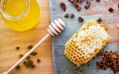 Explorando los Beneficios del Propóleo para la Salud