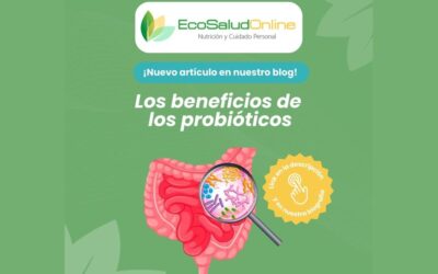 Los Beneficios de los Probióticos para la Salud