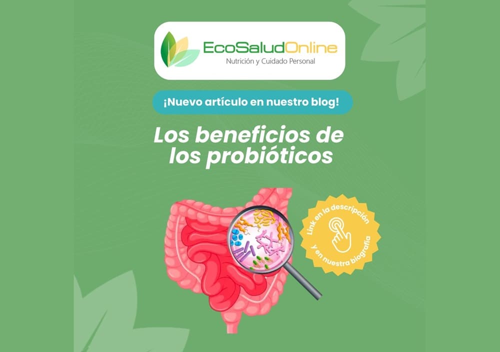 Los Beneficios de los Probióticos para la Salud Los Beneficios de los Probióticos para la Salud blog