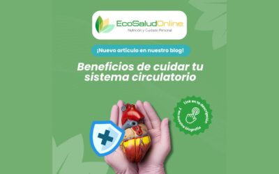 Beneficios de cuidar tu sistema circulatorio